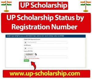 UP Scholarship Status by Registration Number